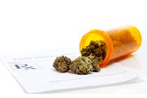 Marijuana For Epilepsy