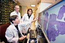 One Thing (Almost) All Kids with Cancer Have in Common
