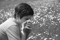 A New Grass Pollen Allergy Treatment