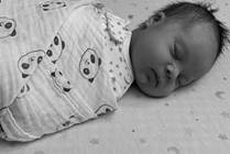 The ABCs of Safe Sleep