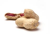 Prevention of Peanut Allergies: Are We Ready to Take the LEAP?