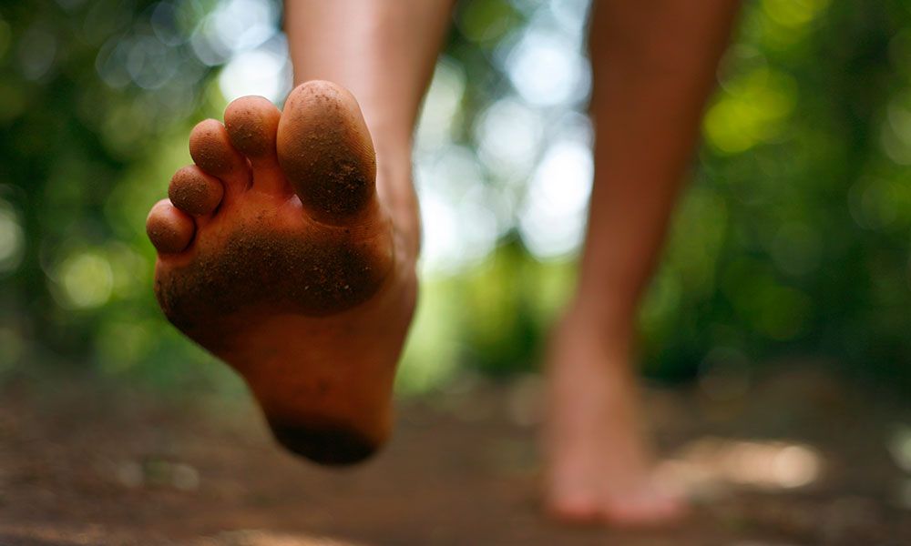 Meredith scott lynn feet