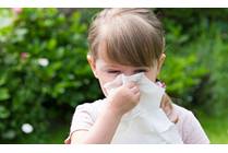 Oral Allergy Syndrome: The Hidden Allergy