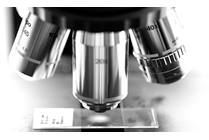 Duchenne Muscular Dystrophy: Advancements Research in the Pipeline