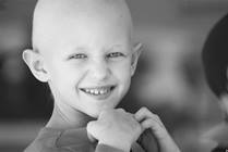 Cellular Therapy - Deconstructing a Bone Marrow Transplant to Cure Cancer