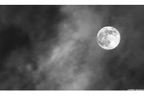 Kids' Behavior and the Full Moon