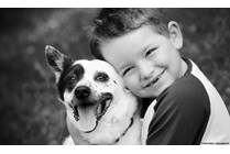 Pet Medicine and Poison Prevention: Keeping Kids Safe