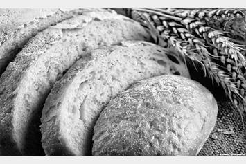 Bread