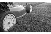 Lawn Mower Safety: Why Kids Should Stay Inside When You Cut the Grass
