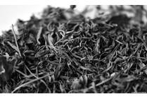What Parents Need to Know About the Dangers of Synthetic Marijuana