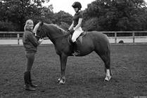 Back in the Saddle: Injuries in the Equestrian Athlete