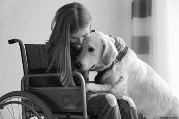 image of a girl in a wheelchair petting a dog