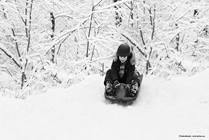 Sledding Safety