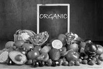 Organic Foods: Are They Safer For Our Kids?