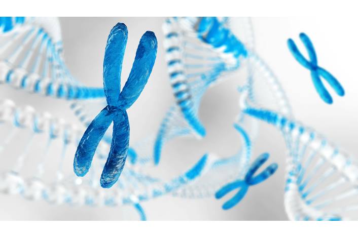 Klinefelter Syndrome: An Extra X Makes the Diagnosis | 700 Children's Blog Klinefelter Syndrome: An Extra X Makes the Diagnosis | 700 Children's Blog