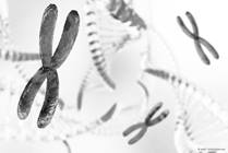 Klinefelter Syndrome: An Extra X Makes the Diagnosis