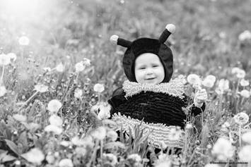 child in a bee costume sitting in a field of flowers