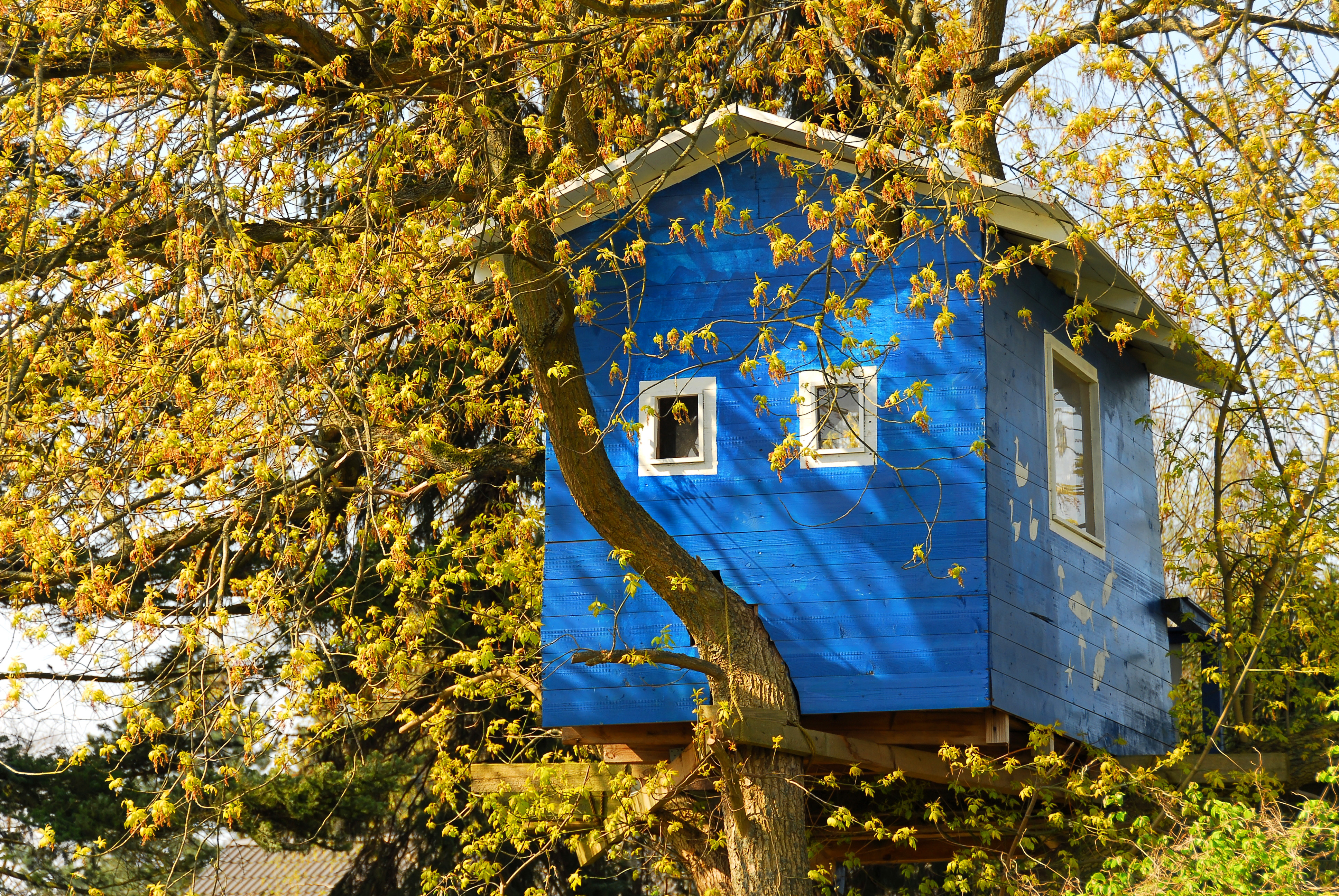 black and white picture of a tree house