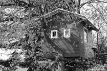 7 Tips for Tree House Safety