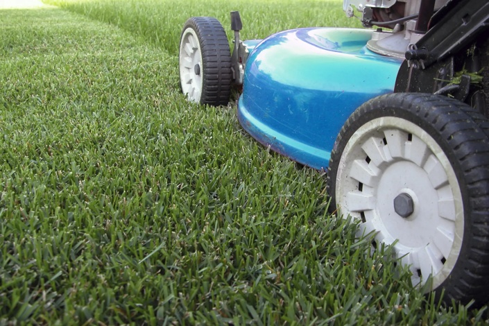 blue lawn mower cutting grass