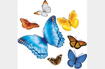 Butterfly Gust