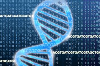DNA model