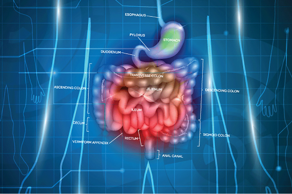 Bowel Management Program
