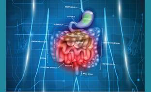 Bowel Management Program