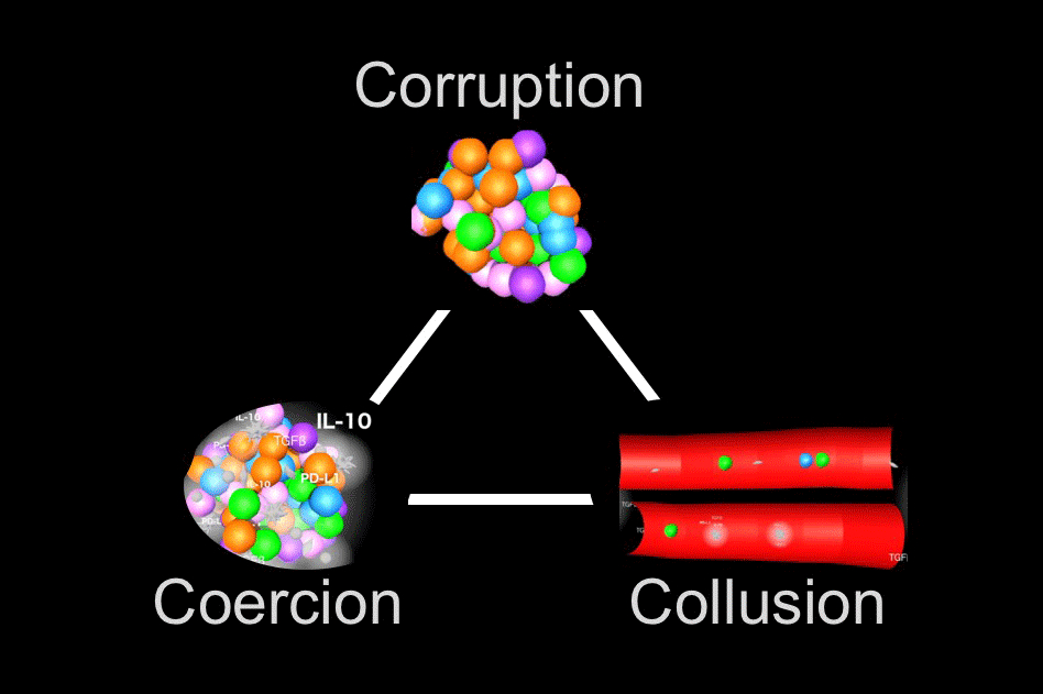 Corruption Coercion Collusion