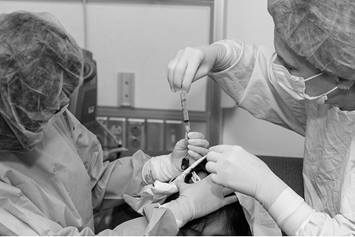 Enzyme Treatment