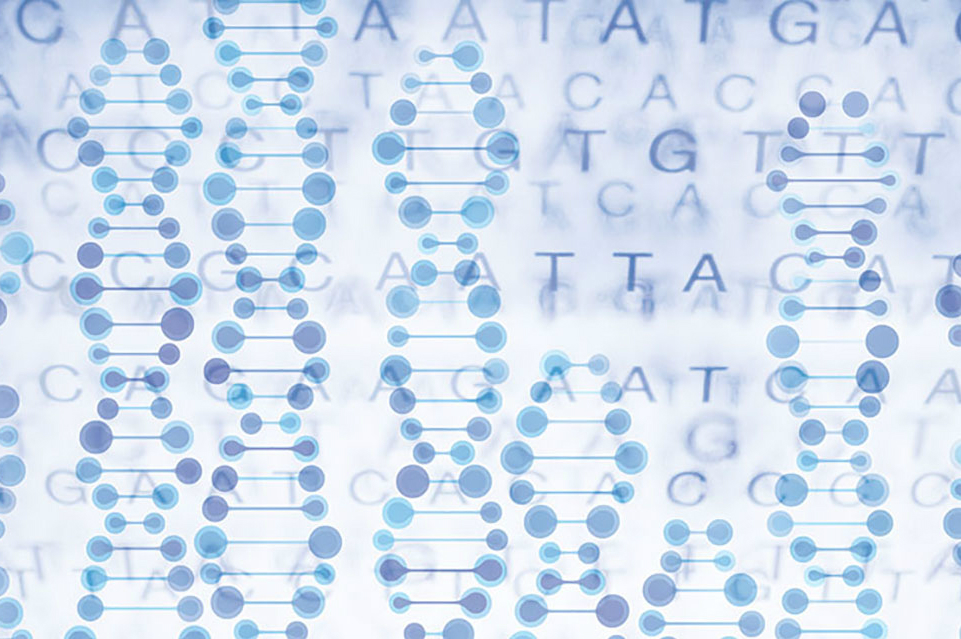 EWS/FLI transcription