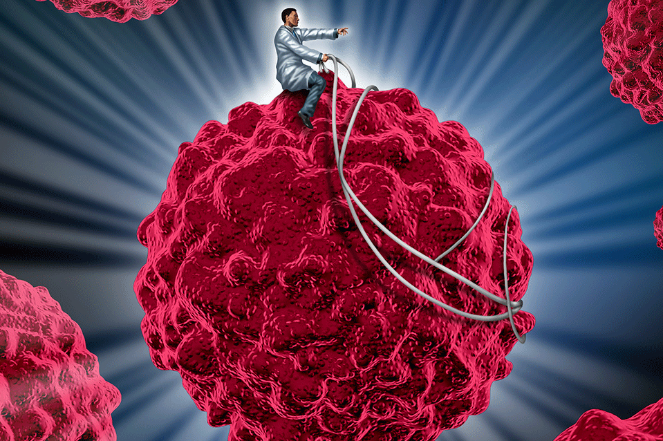 Harnessing the Immune System