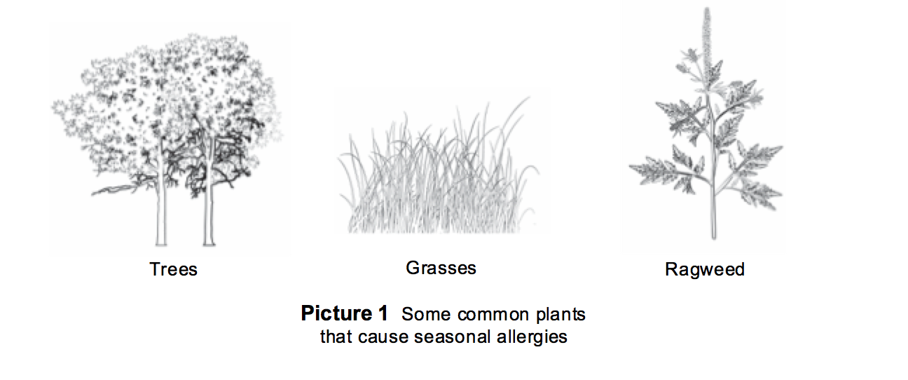 Allergic Rhinitis