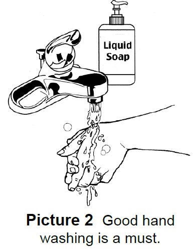 Washing hands with liquid soap and water