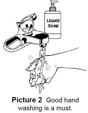Washing hands with liquid soap and water
