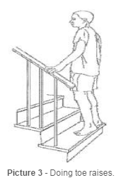 toe raises 