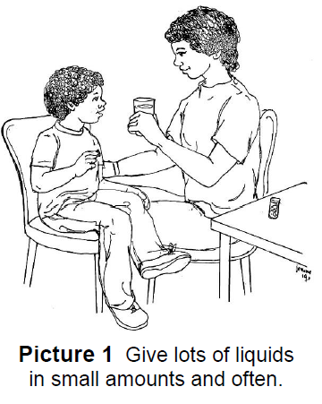 Tubes lead from the throat to the ears and lungs