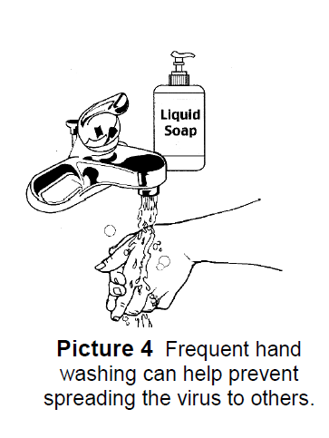 Frequent hand washing can help prevent spreading the virus to others.