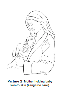 kangaroo care 