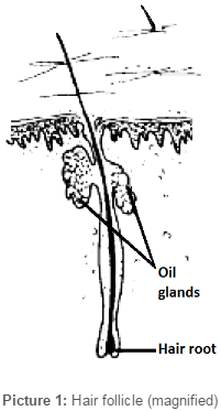 Folliculitis Causes Diagnosis Treatment And Care At Home