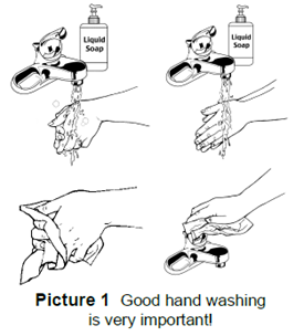 good hand hygiene 
