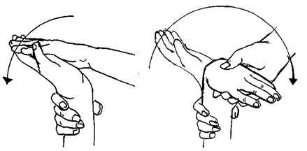 Exercises-Arms and Hands (Passive)