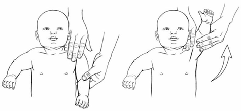 Shoulder Flexion