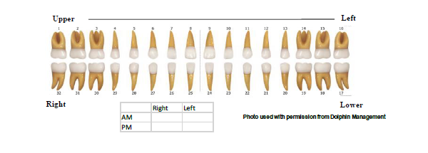 Diagram showing each individual tooth in the mouth.