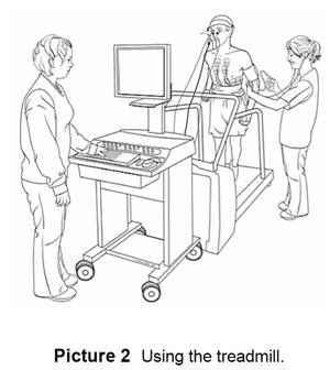 Using the treadmill
