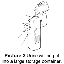 Urine will be put into a large storage container