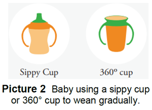 Two different cups for baby's to drink out of.
