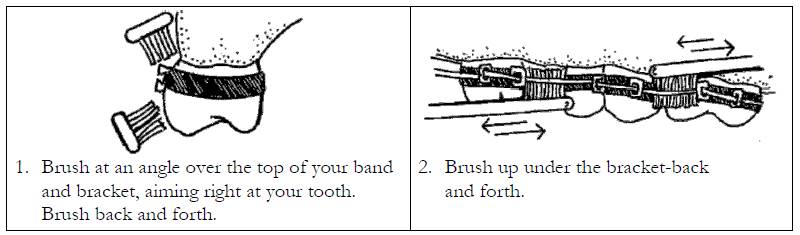 step 1 and 2 to correctly brush