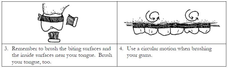 step 3 and 4 to brush correctly