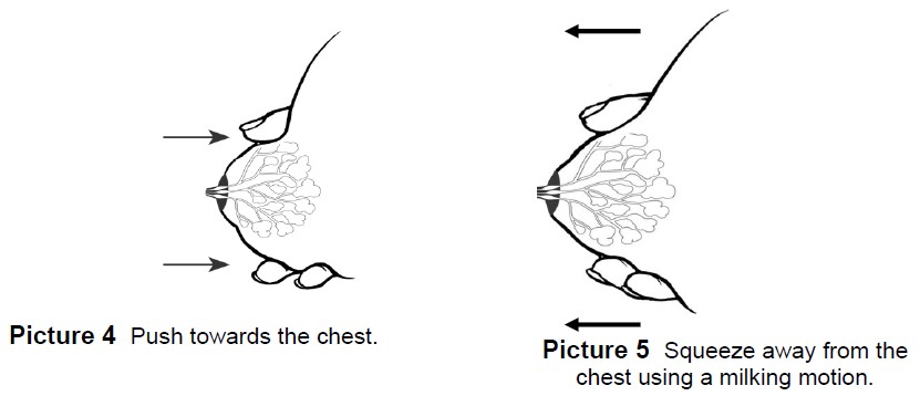 18+ Bowling Lane Diagram Pdf